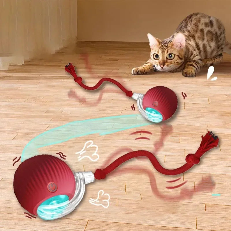 Automatic rolling cat ball with tail