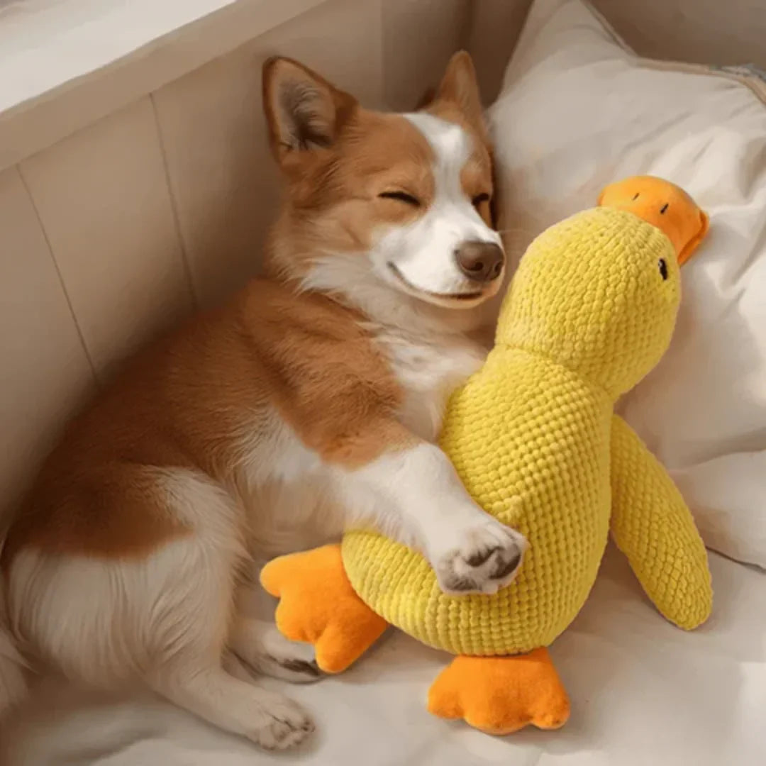 Calming duck plush heartbeat comfort toy for dogs — image 2