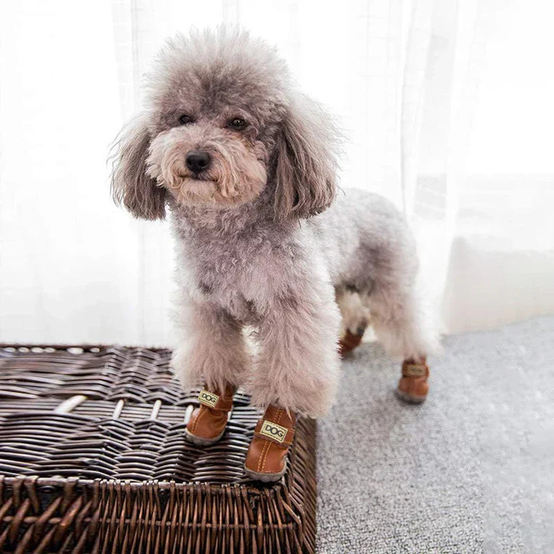 Put a winter barrier between paws and the street.
