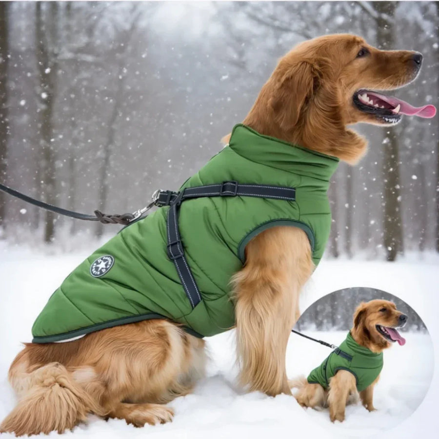 A real winter coat layer for sidewalk weather.