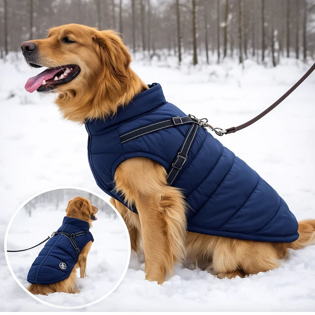 Pawzex 3-in-1 waterproof warm dog winter jacket