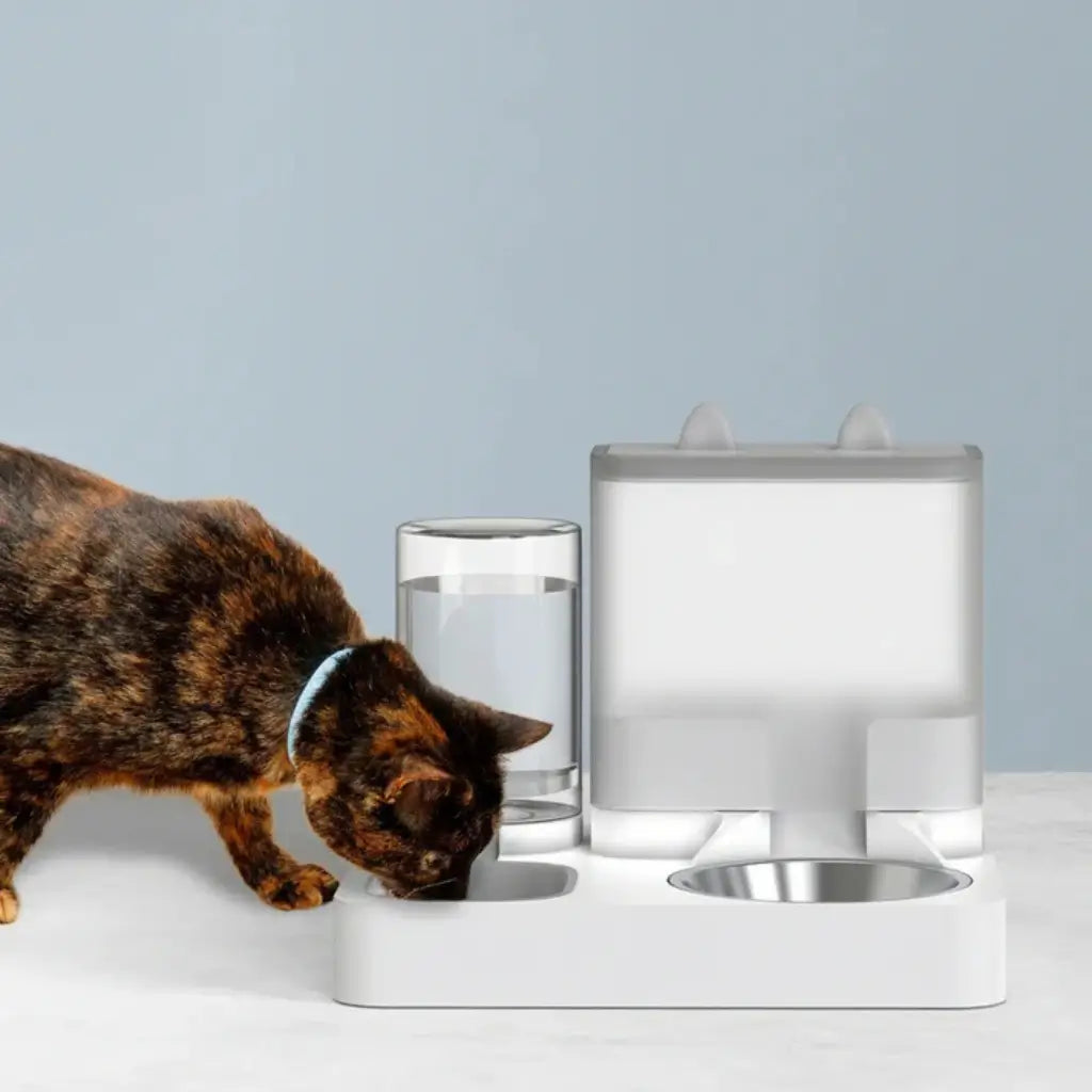 Gravity pet feeder and water dispenser no power needed — image 2