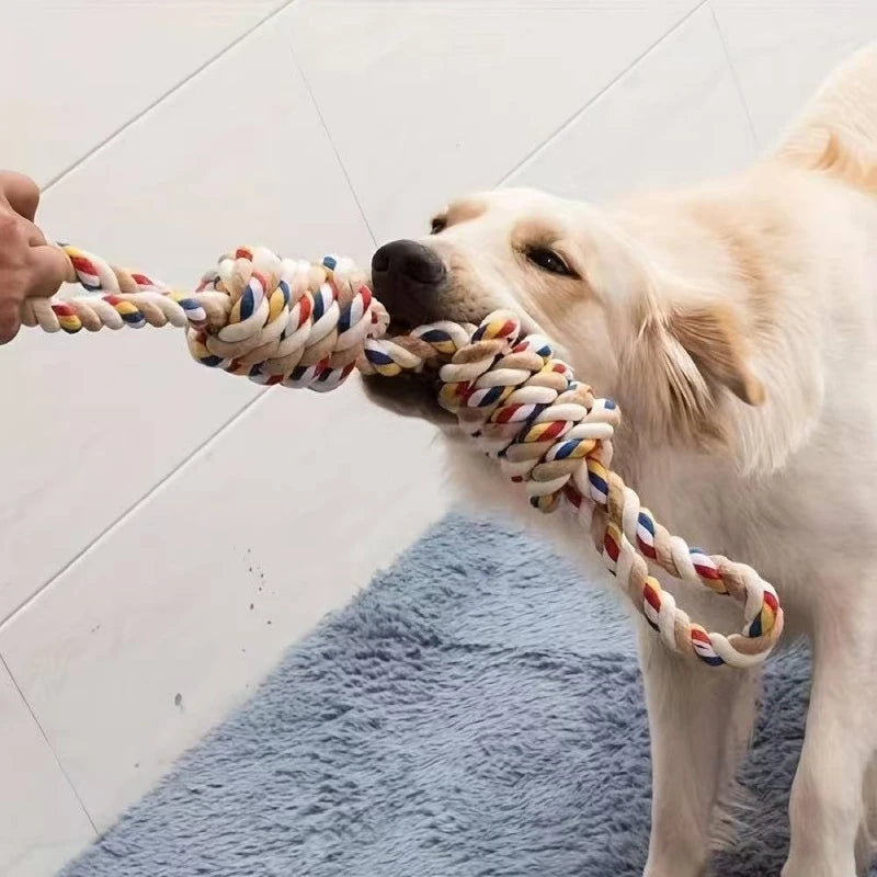 Dog playing tug with the rope toy
