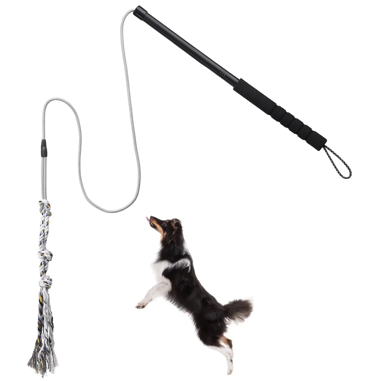 Flirt pole for dogs with rope lure and a jumping dog