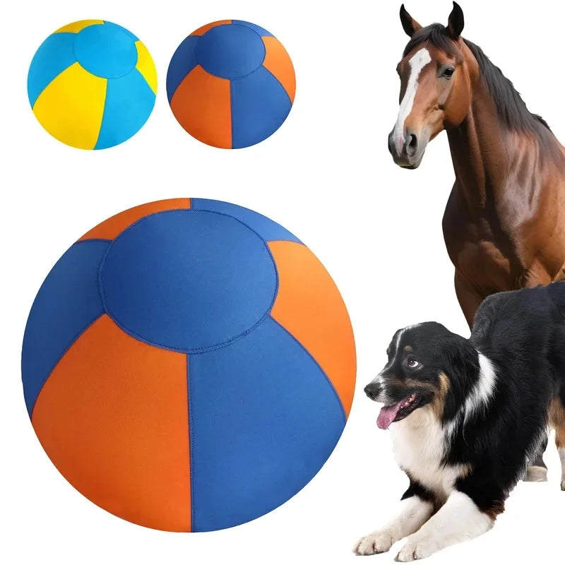 Herding dogs without a flock find their own job.