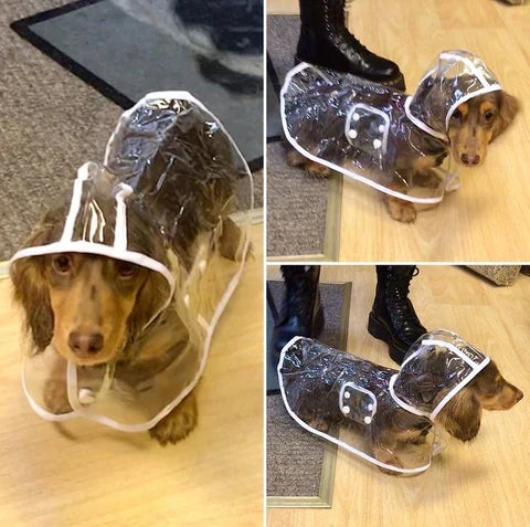 Clear rain coverage that still lets you see your dog.