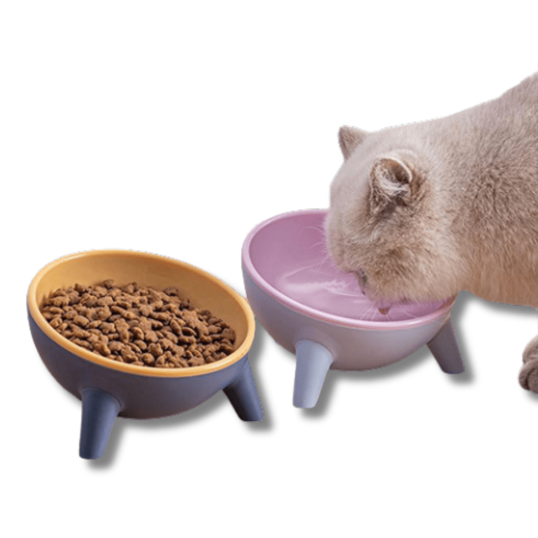 Pawzex tilted raised cat bowl on three legs - image 1